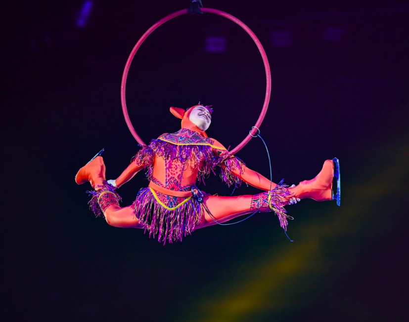 Фото В Новосибирске завершилось грандиозное ледовое шоу «Щелкунчик»: опубликованы завораживающие кадры 19 - Сиб.ФМ Фото В Новосибирске завершилось грандиозное ледовое шоу «Щелкунчик»: опубликованы завораживающие кадры 19